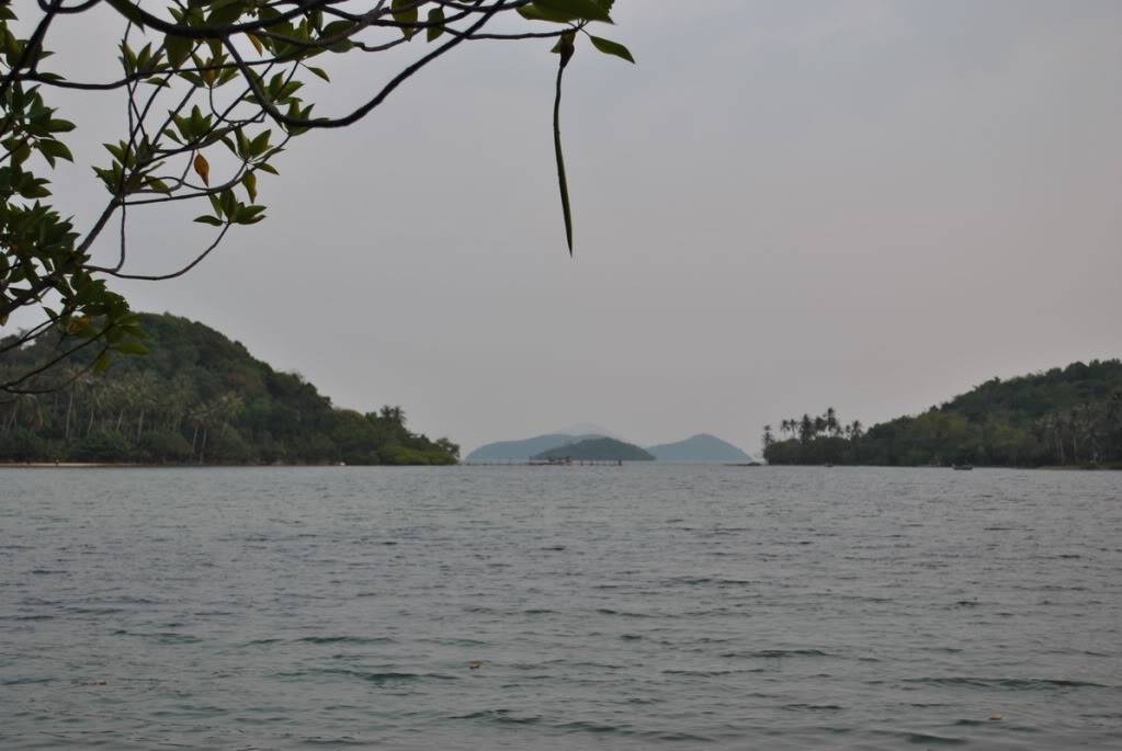 DSC_0095_resize.jpg