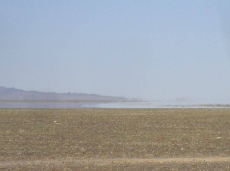 PA032594.jpg