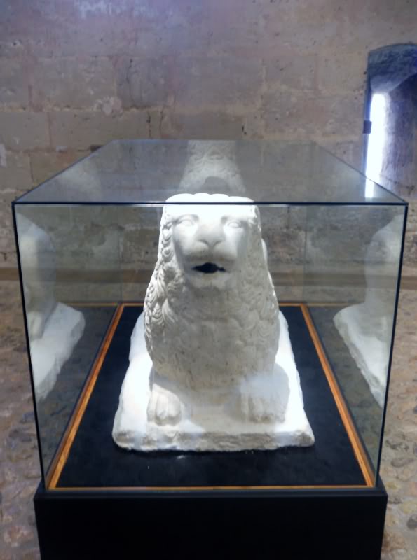 DSCN6574.jpg