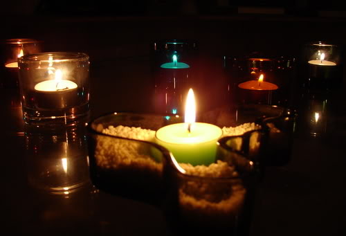DSC05289.jpg
