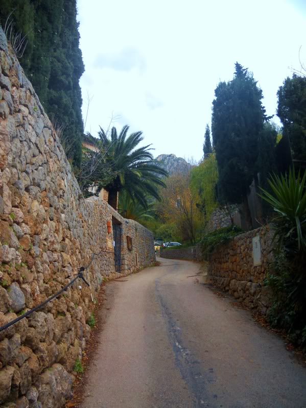 DSCN6252.jpg