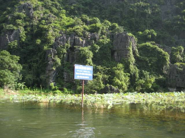 IMG_0559.jpg
