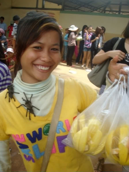 DSC08463800x600.jpg
