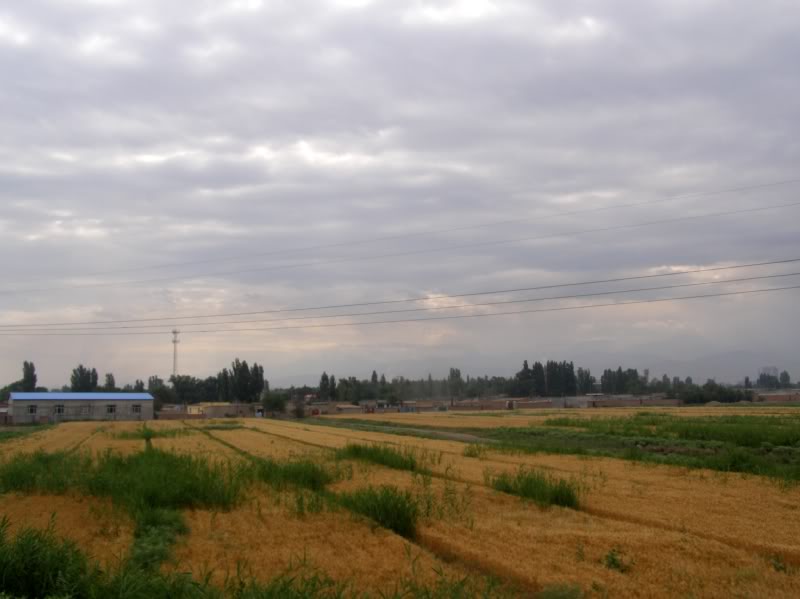 P7040764.jpg