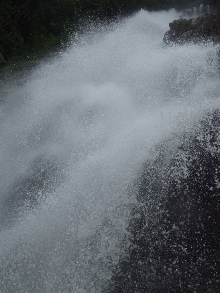 DSCF1638.jpg