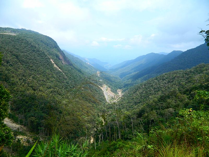 DSCN2906.jpg