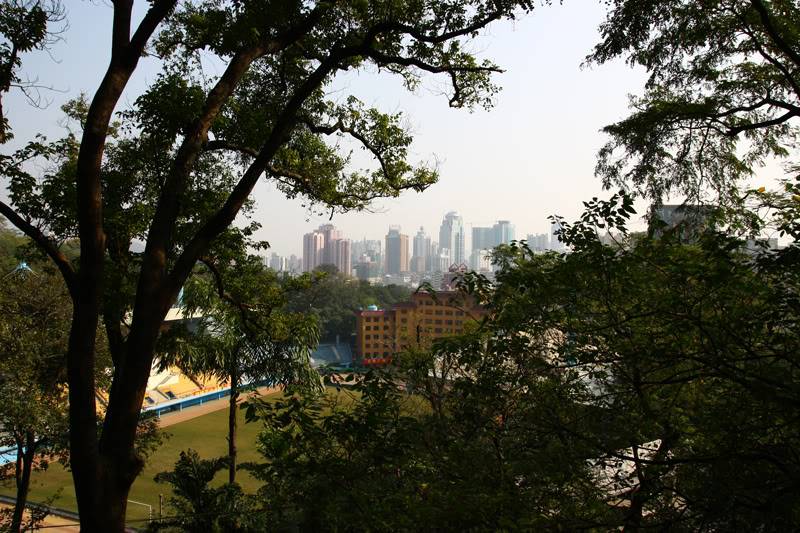 stadium12.jpg