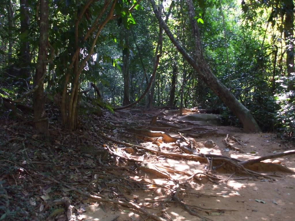 DSCF5498.jpg