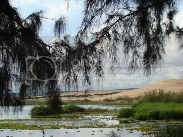 DSC00118.jpg