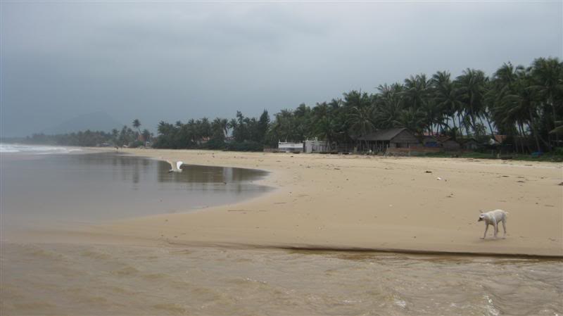 IMG_4819Medium.jpg