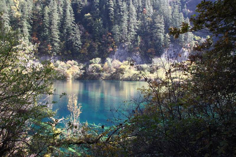 chuongvang7-toan.jpg