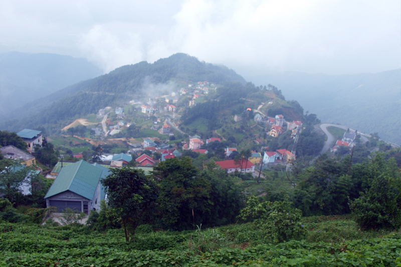 td03.jpg