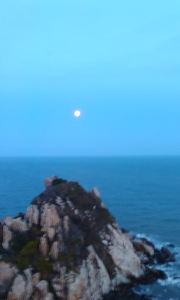 IMAG0624.jpg