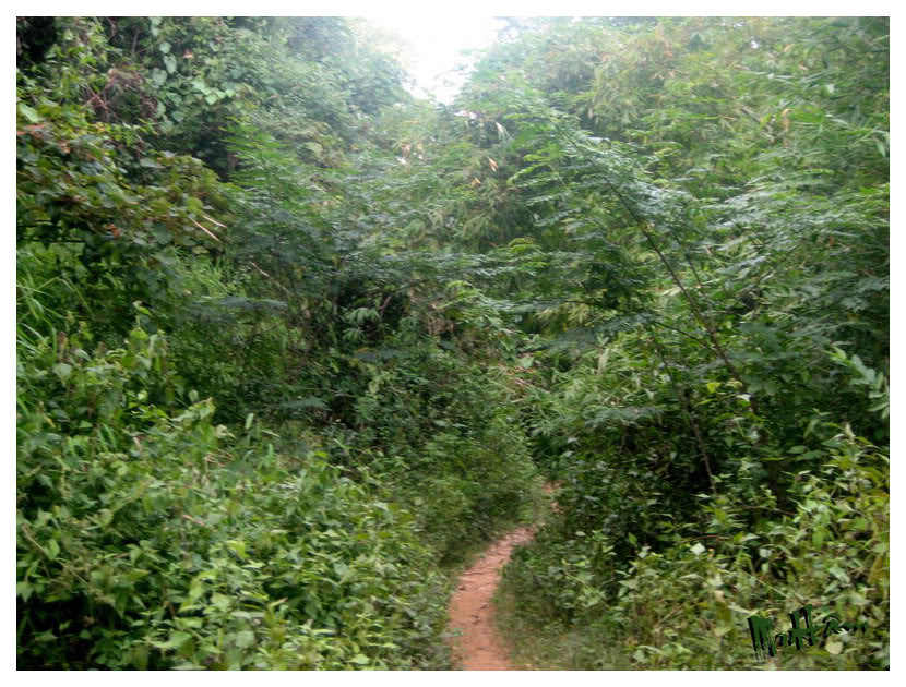 Duongdi02.jpg