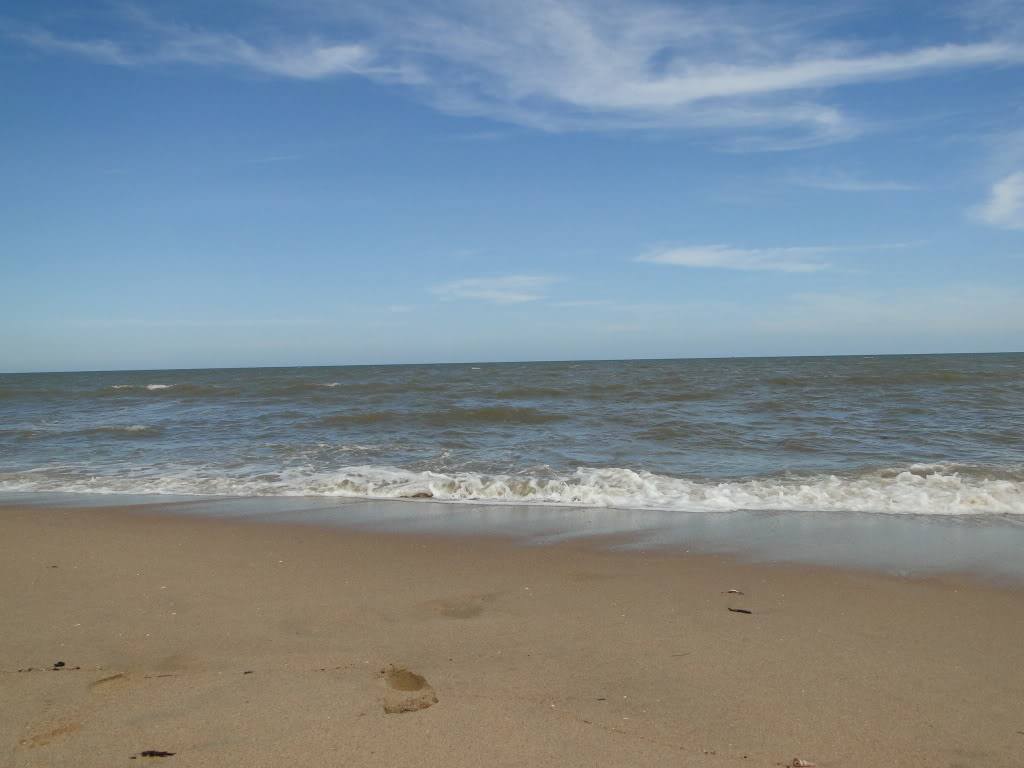 DSC04340.jpg