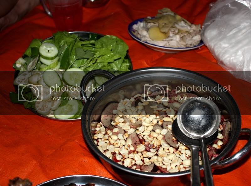 IMG_2847.jpg