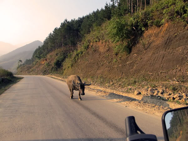 HongNgai2011053.jpg