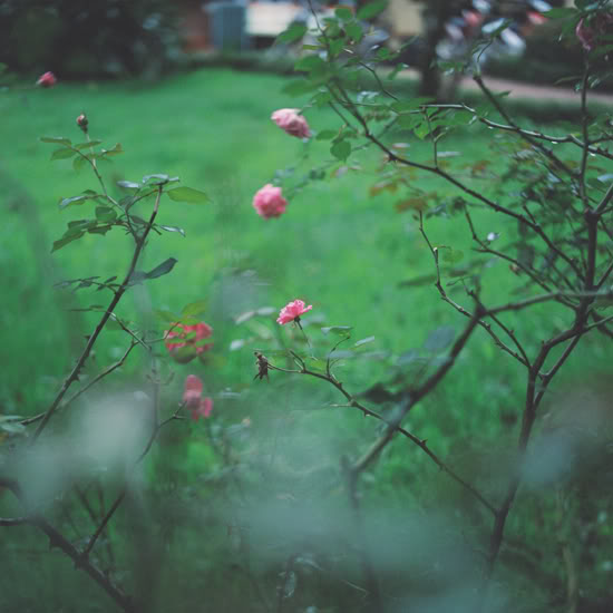 100926v-10.jpg
