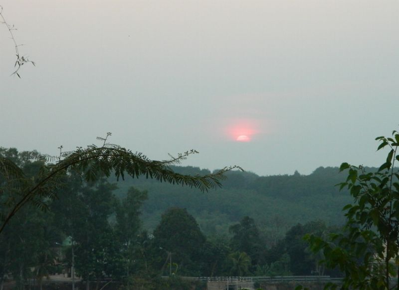 DSCN3649.jpg