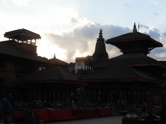 PA290220.jpg