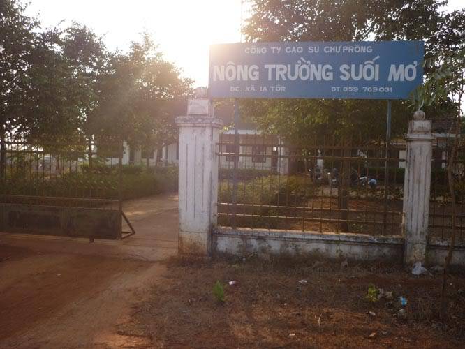 P1030229.jpg