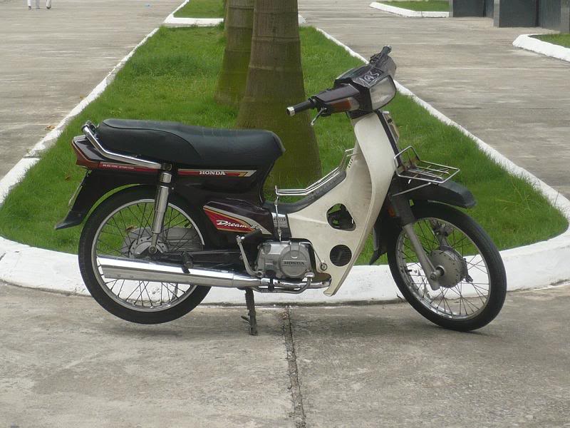 P1050227.jpg