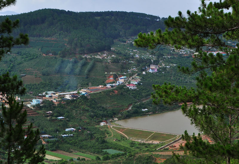 88.jpg