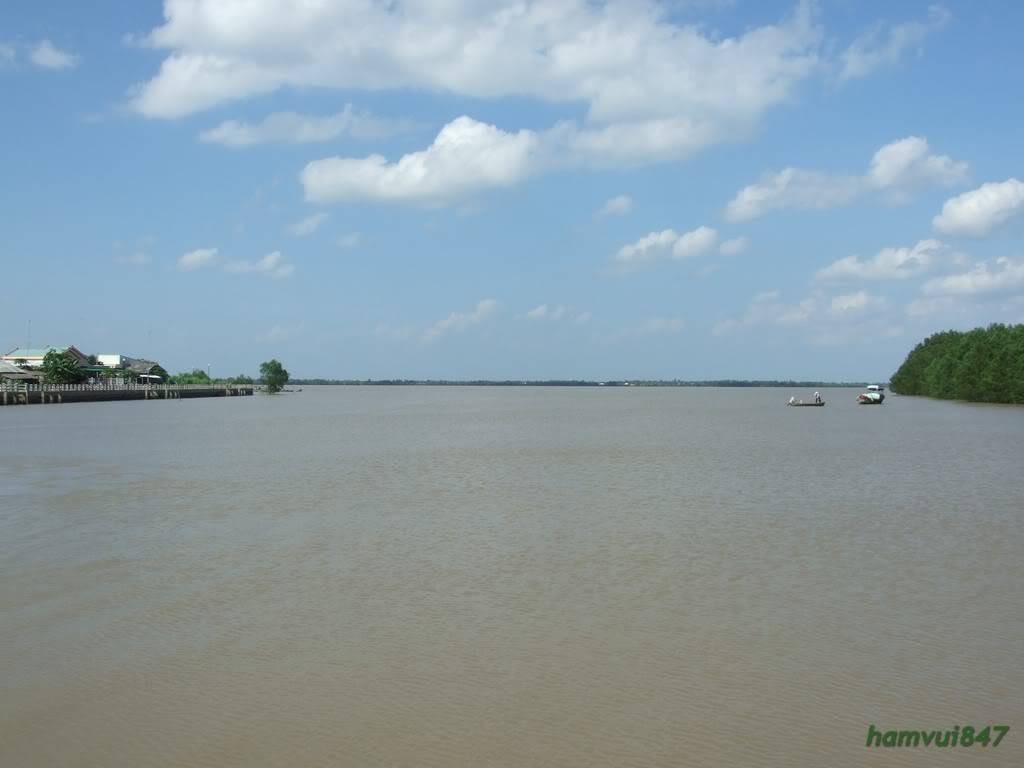 hoaminh-8.jpg