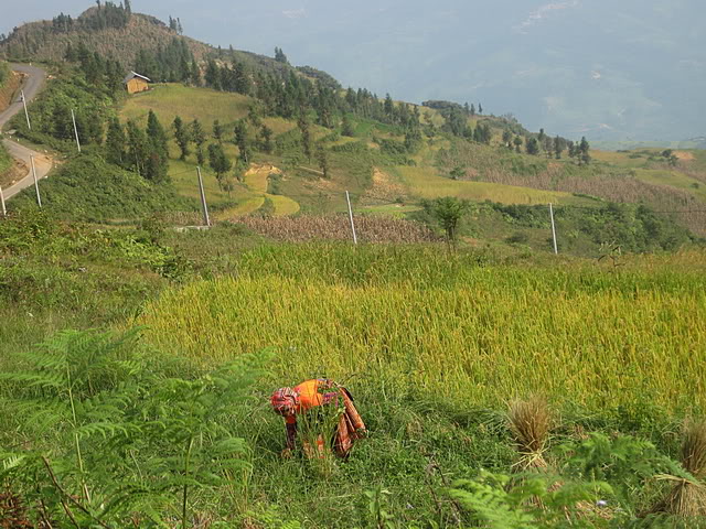 IMG_3076_01.jpg