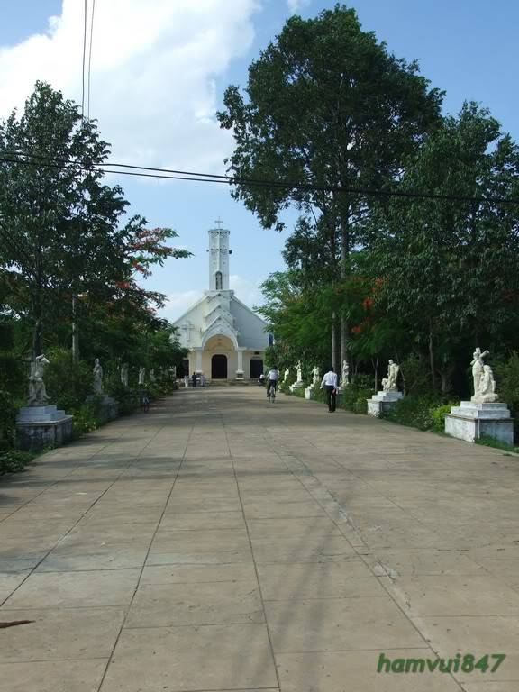 hoaminh-12.jpg