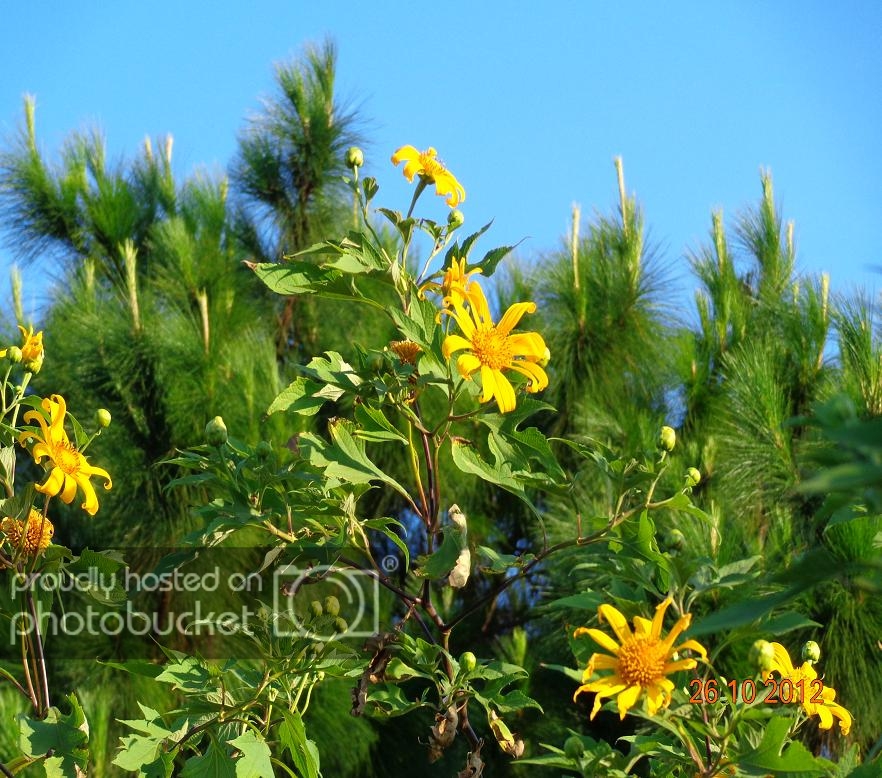 DSC00632R.jpg