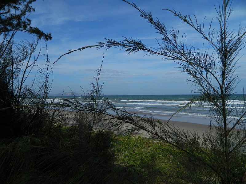 DSCN4403_231.jpg