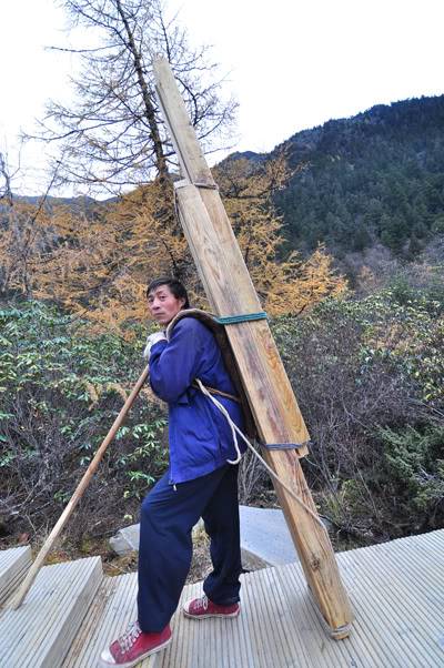 hoanglong44.jpg