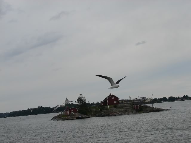DSC02306.jpg