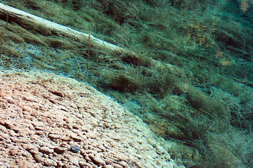 DPP_0127.jpg