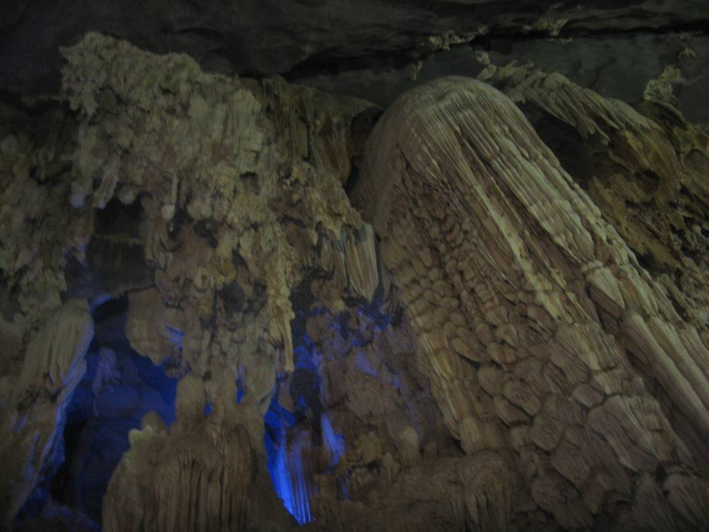 IMG_1855.jpg