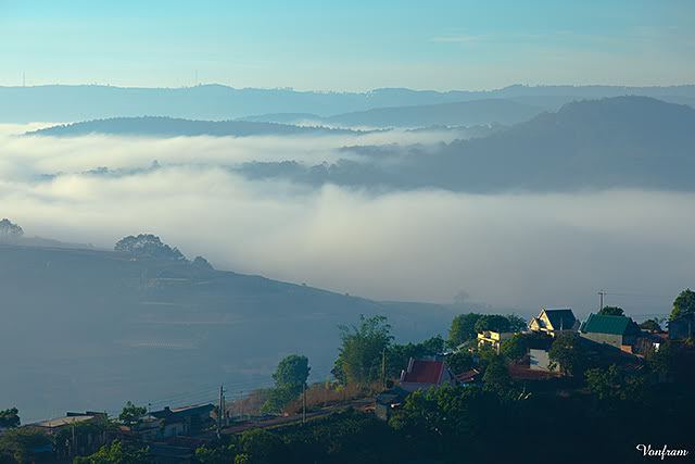 _MG_2519.jpg