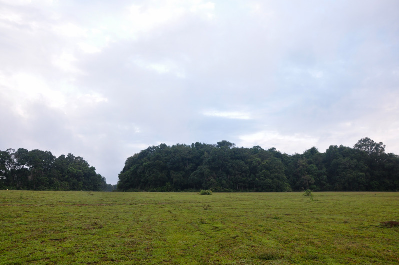 DSC_1407.jpg
