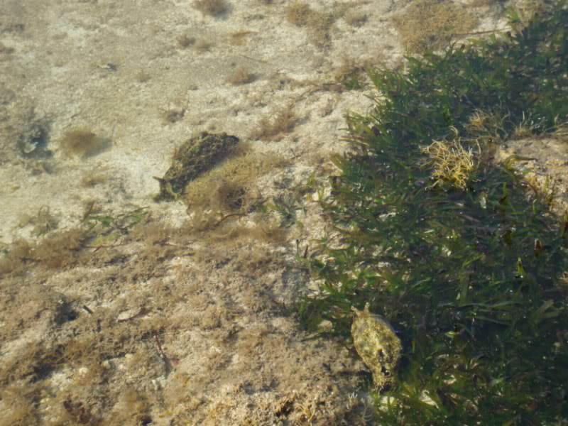 DSCF6776.jpg
