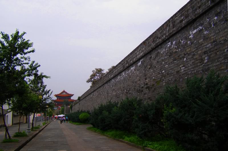 PA010223-1.jpg