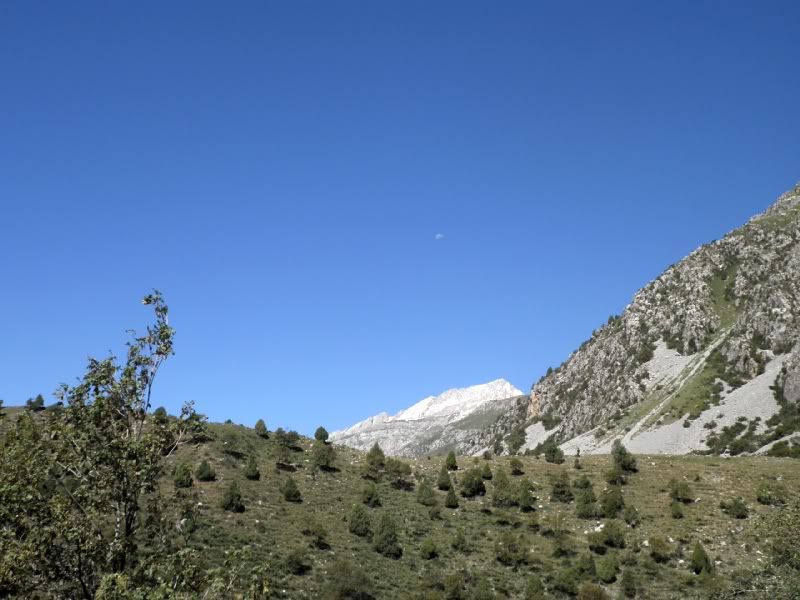 P8023658.jpg