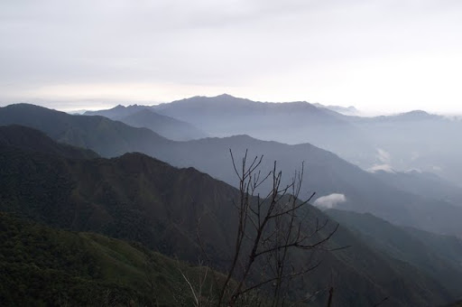 DSCF0597.JPG