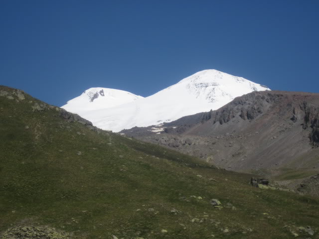 IMG_1322.jpg