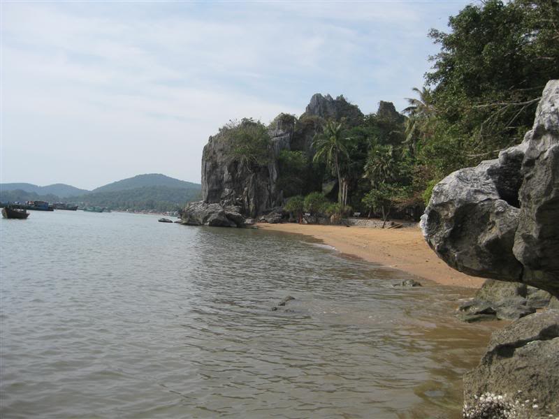 IMG_2406Medium.jpg