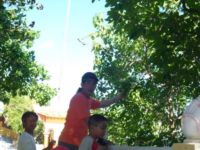 P1040364_resize.jpg