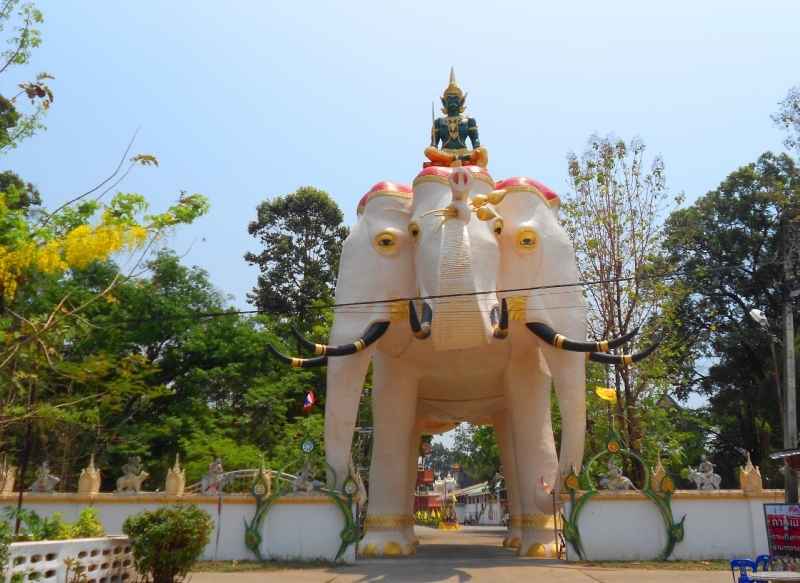 DSCN7810-1.jpg