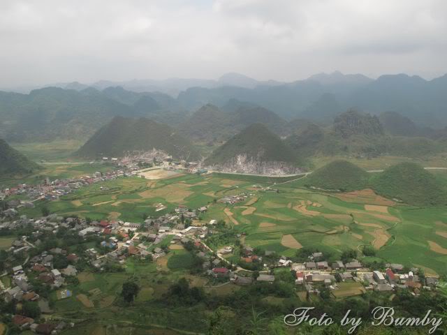Taybac_0001-1.jpg