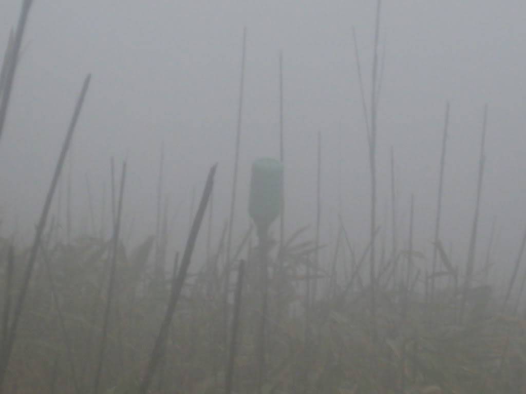 IMG_2728.jpg