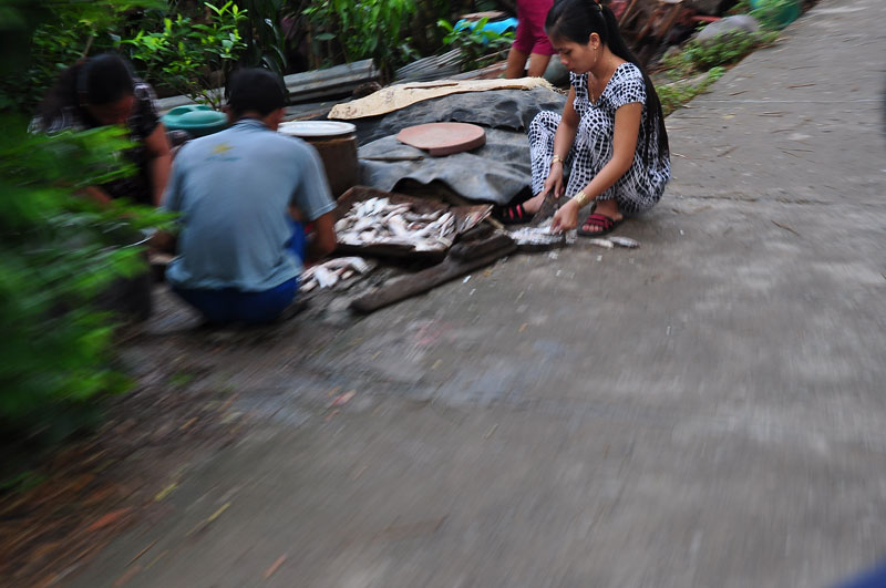 DSC_6148.jpg
