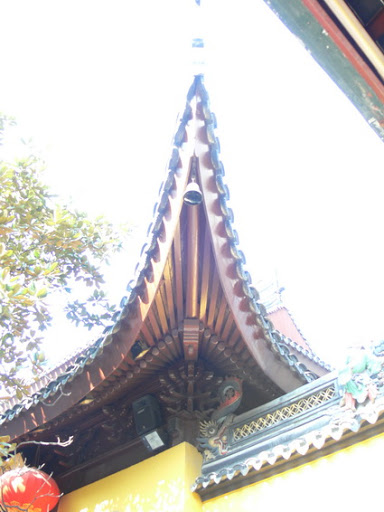 P1040560.JPG